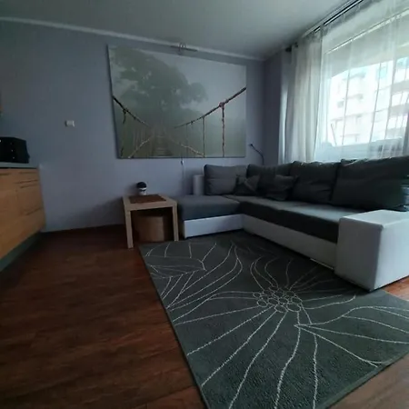 Apartment Apartament Witawa *